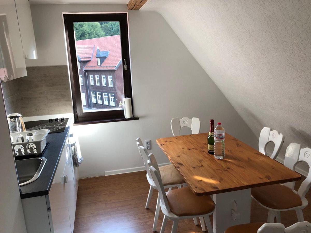 Ferienhaus Art Apartment - Harz Zorge Esterno foto