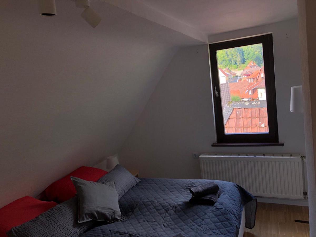 Ferienhaus Art Apartment - Harz Zorge Esterno foto