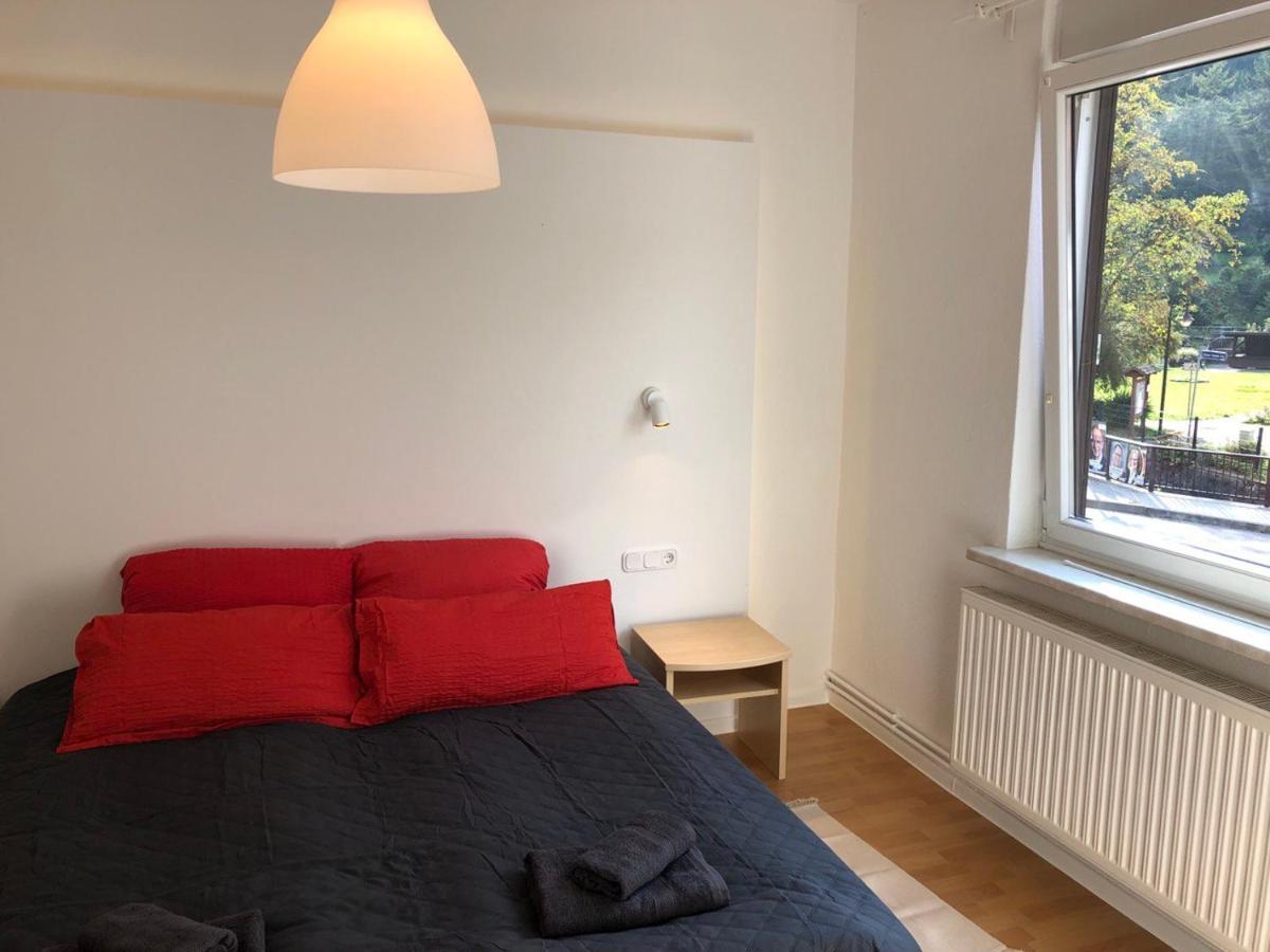 Ferienhaus Art Apartment - Harz Zorge Esterno foto