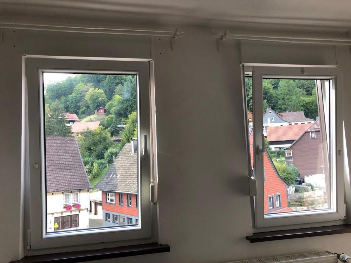 Ferienhaus Art Apartment - Harz Zorge Esterno foto