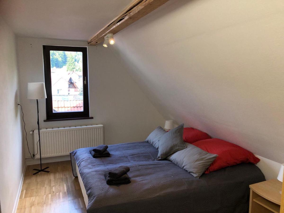 Ferienhaus Art Apartment - Harz Zorge Esterno foto