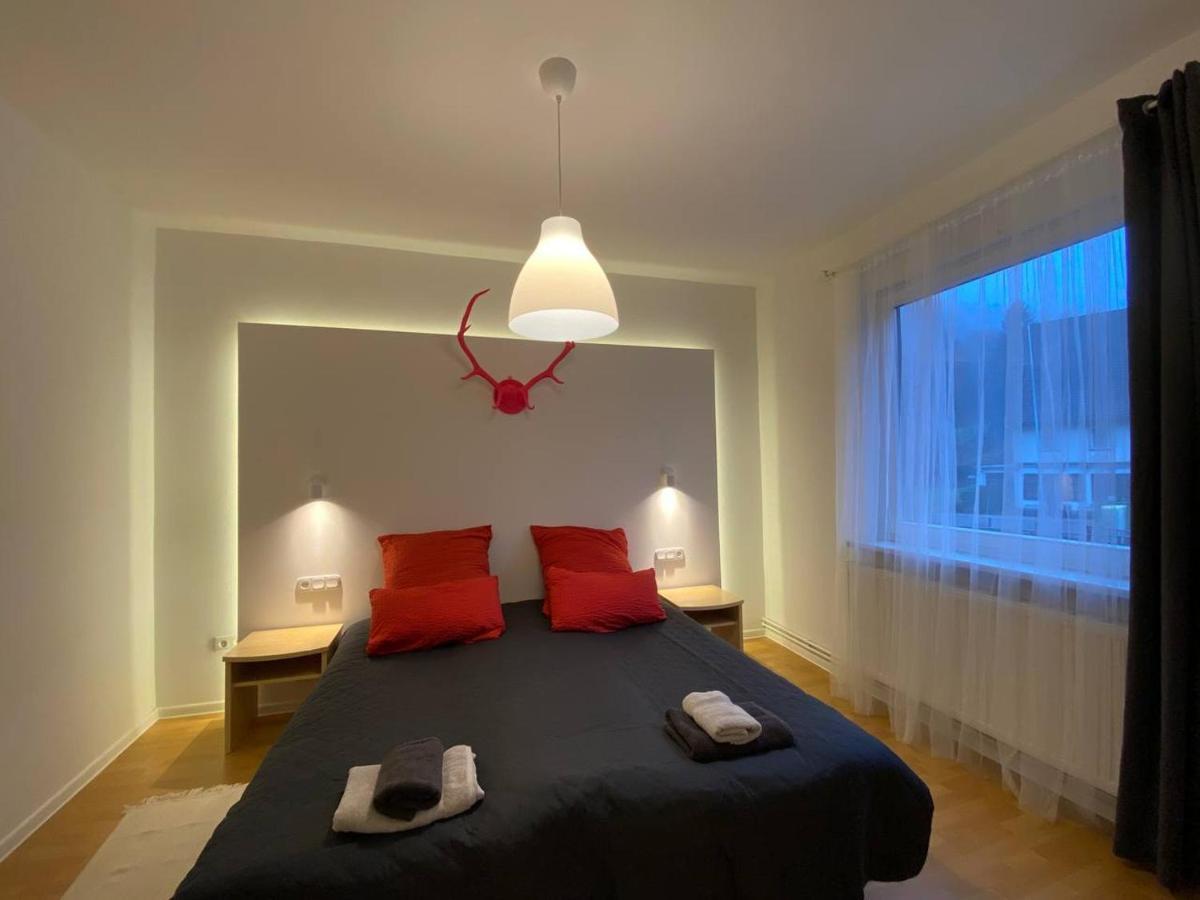 Ferienhaus Art Apartment - Harz Zorge Esterno foto