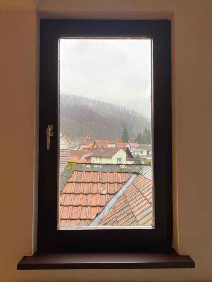 Ferienhaus Art Apartment - Harz Zorge Esterno foto