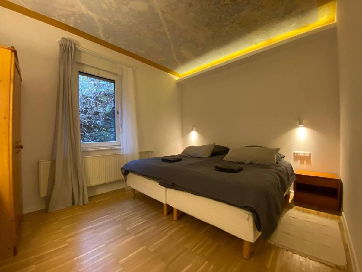 Ferienhaus Art Apartment - Harz Zorge Esterno foto