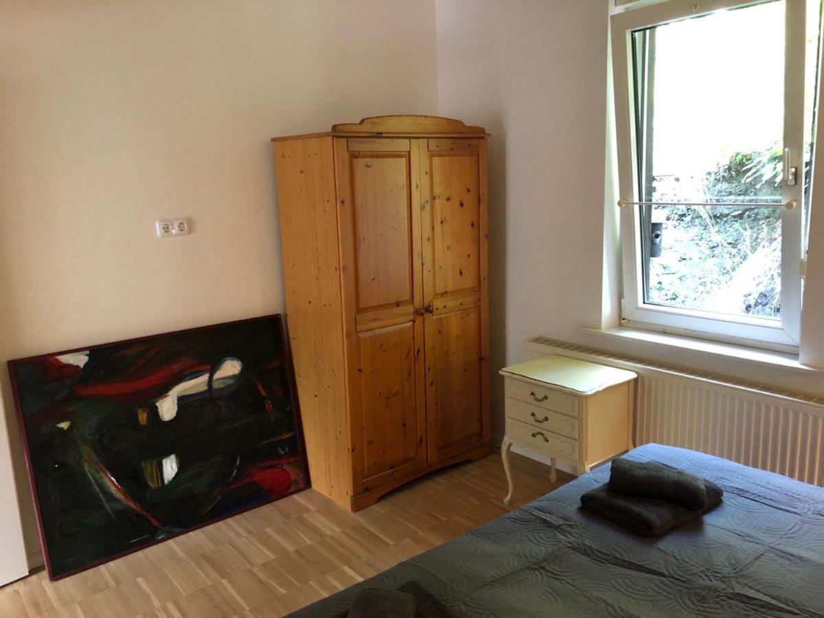 Ferienhaus Art Apartment - Harz Zorge Esterno foto