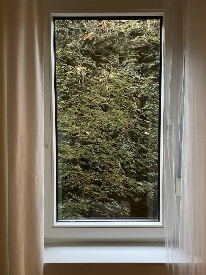 Ferienhaus Art Apartment - Harz Zorge Esterno foto